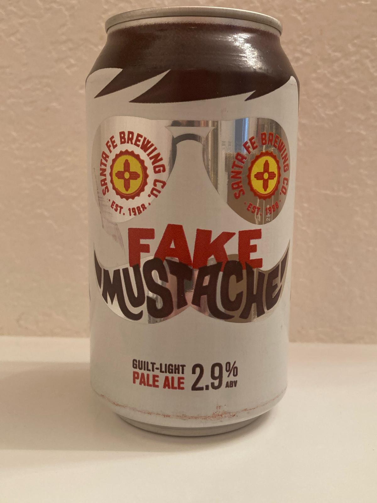 Fake Mustache