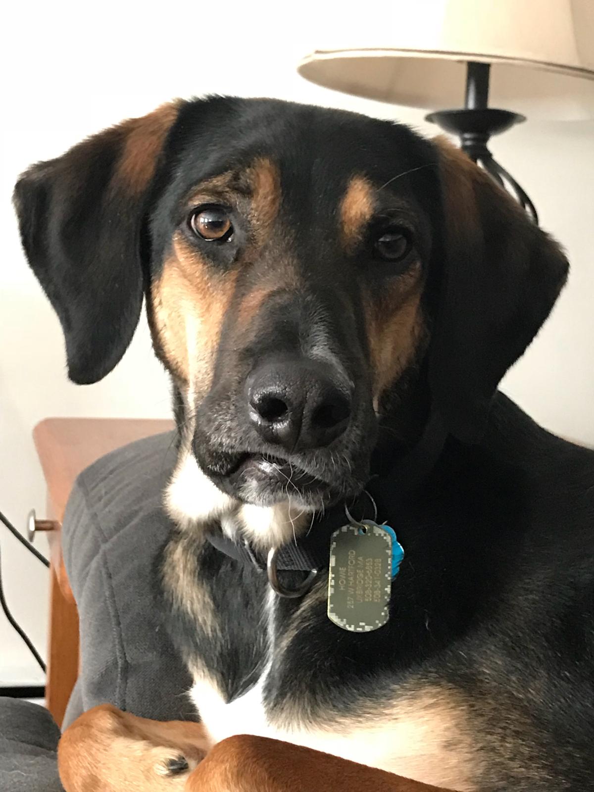 postroskeyjr profile picture