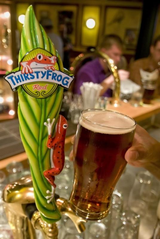 Thirsty Frog Red