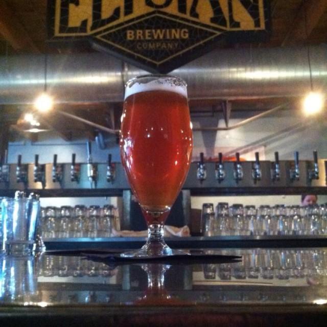 Bramble On Blackberry Saison