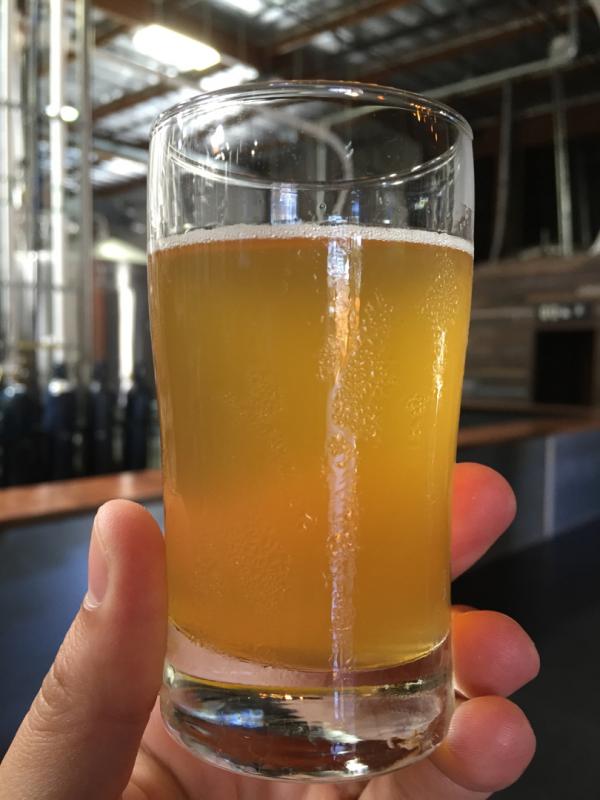 Grapefruit Pale