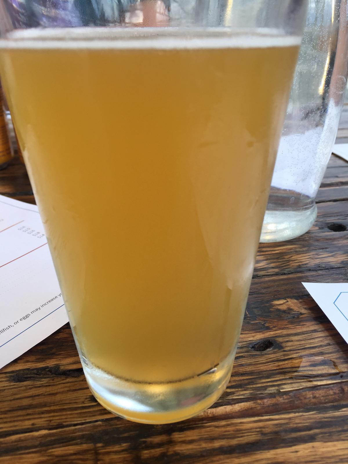 Major Nights Lime Gose