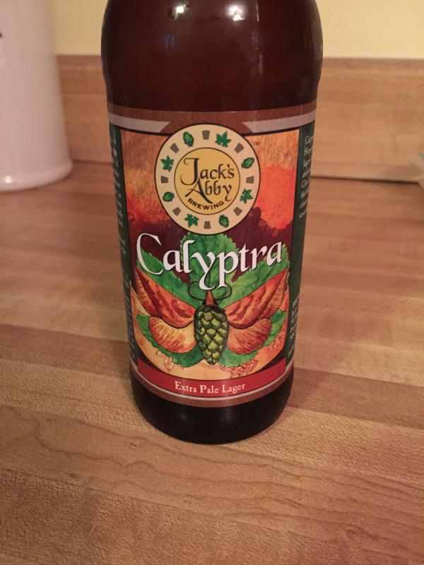Calyptra (Hopstitution #3)