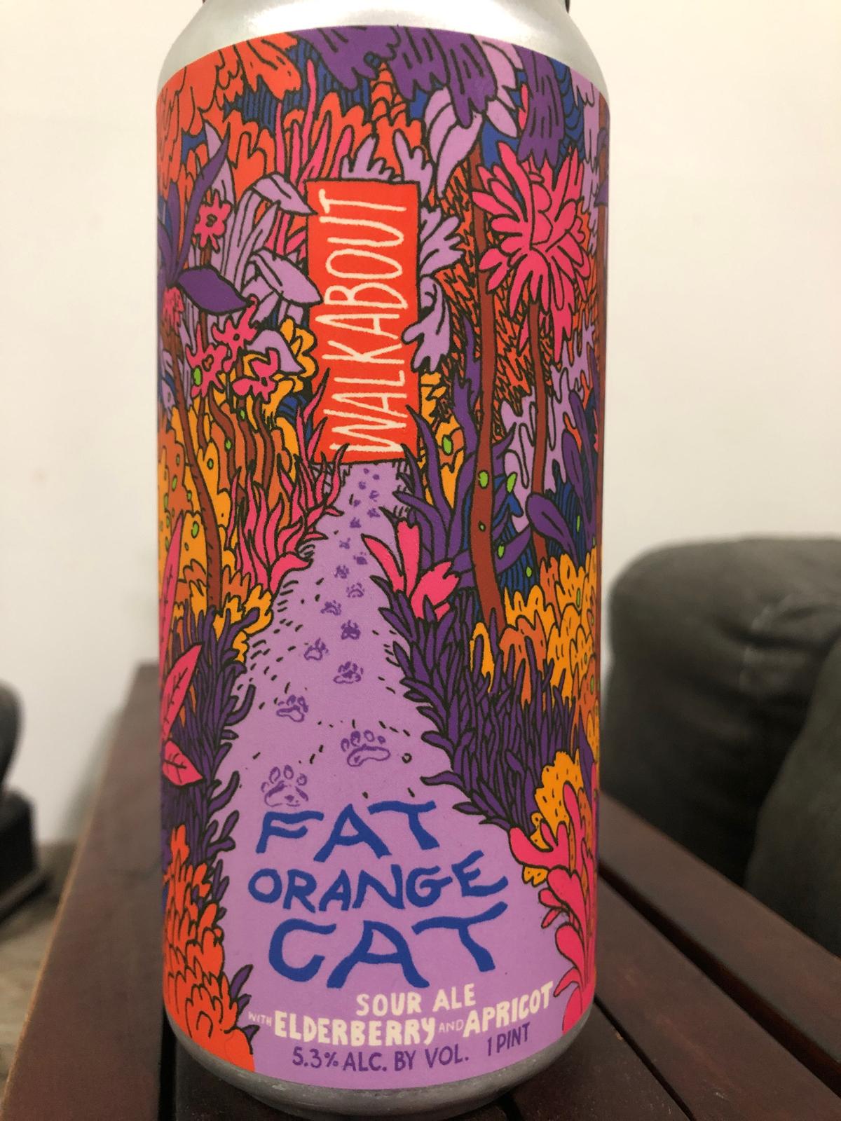 Walkabout - Elderberry & Apricot