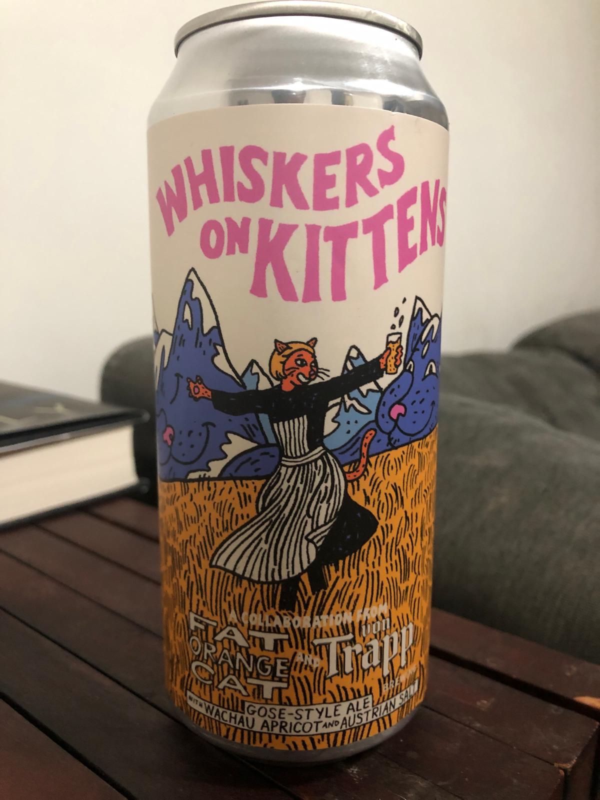 Whiskers on Kittens