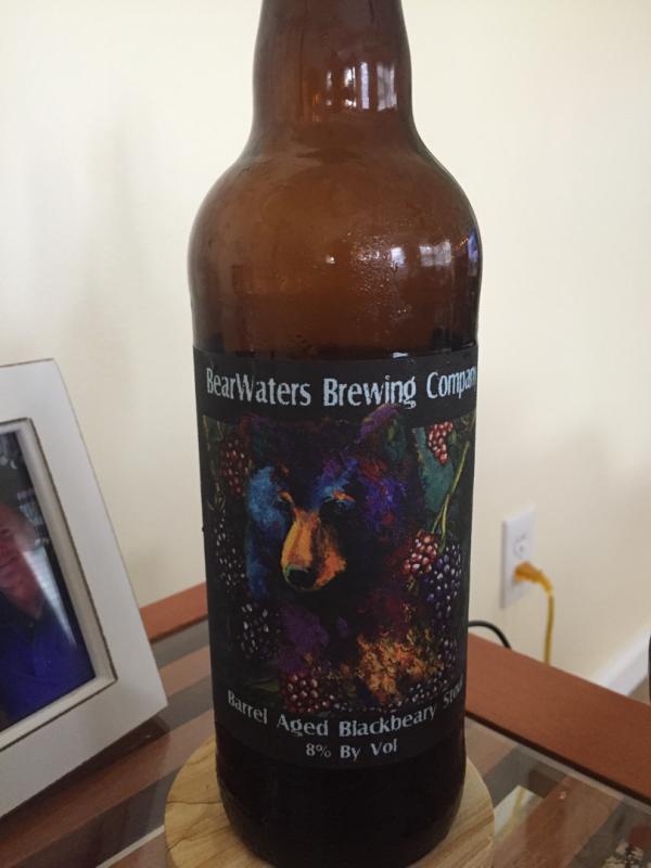 Blackberry Stout (Barrel Aged)