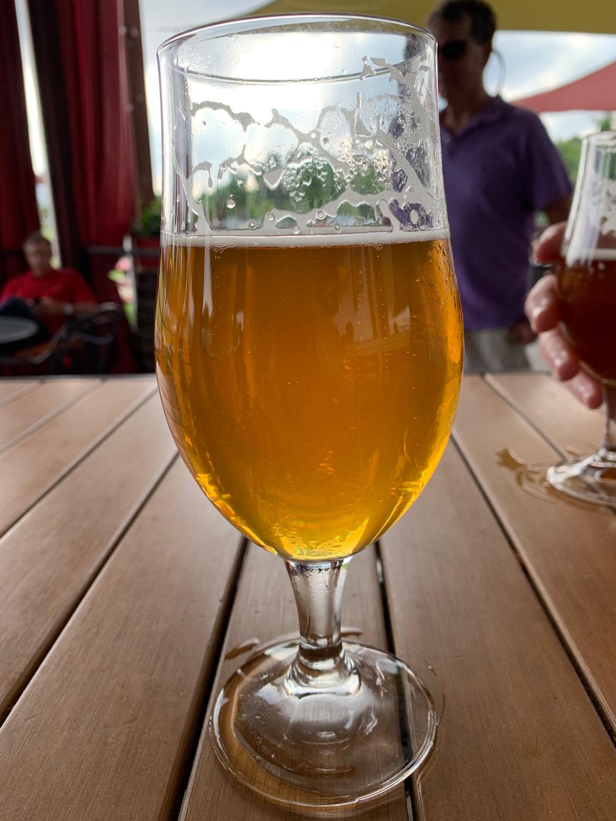 Tropical IPA