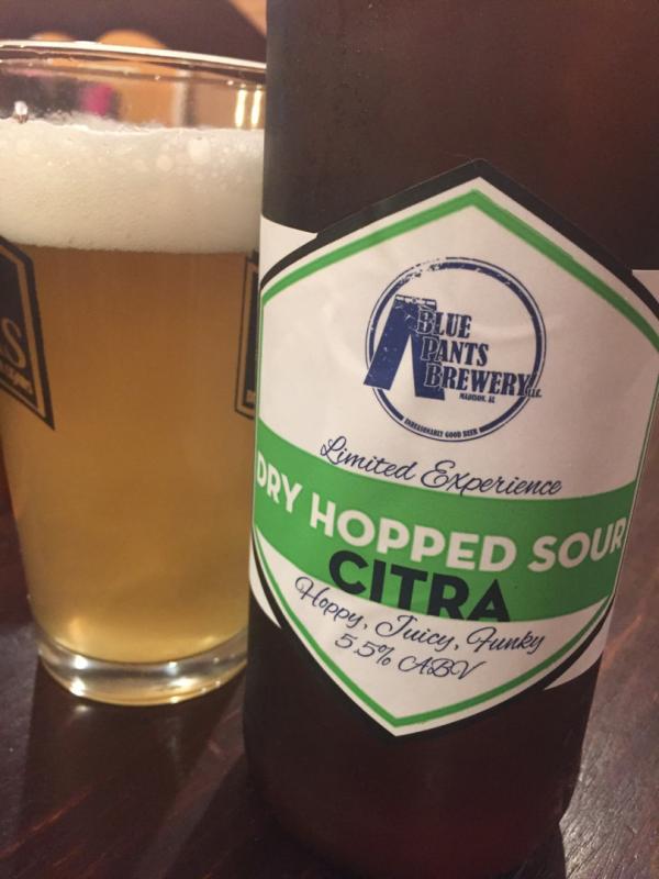 Dry Hopped Sour Citra 