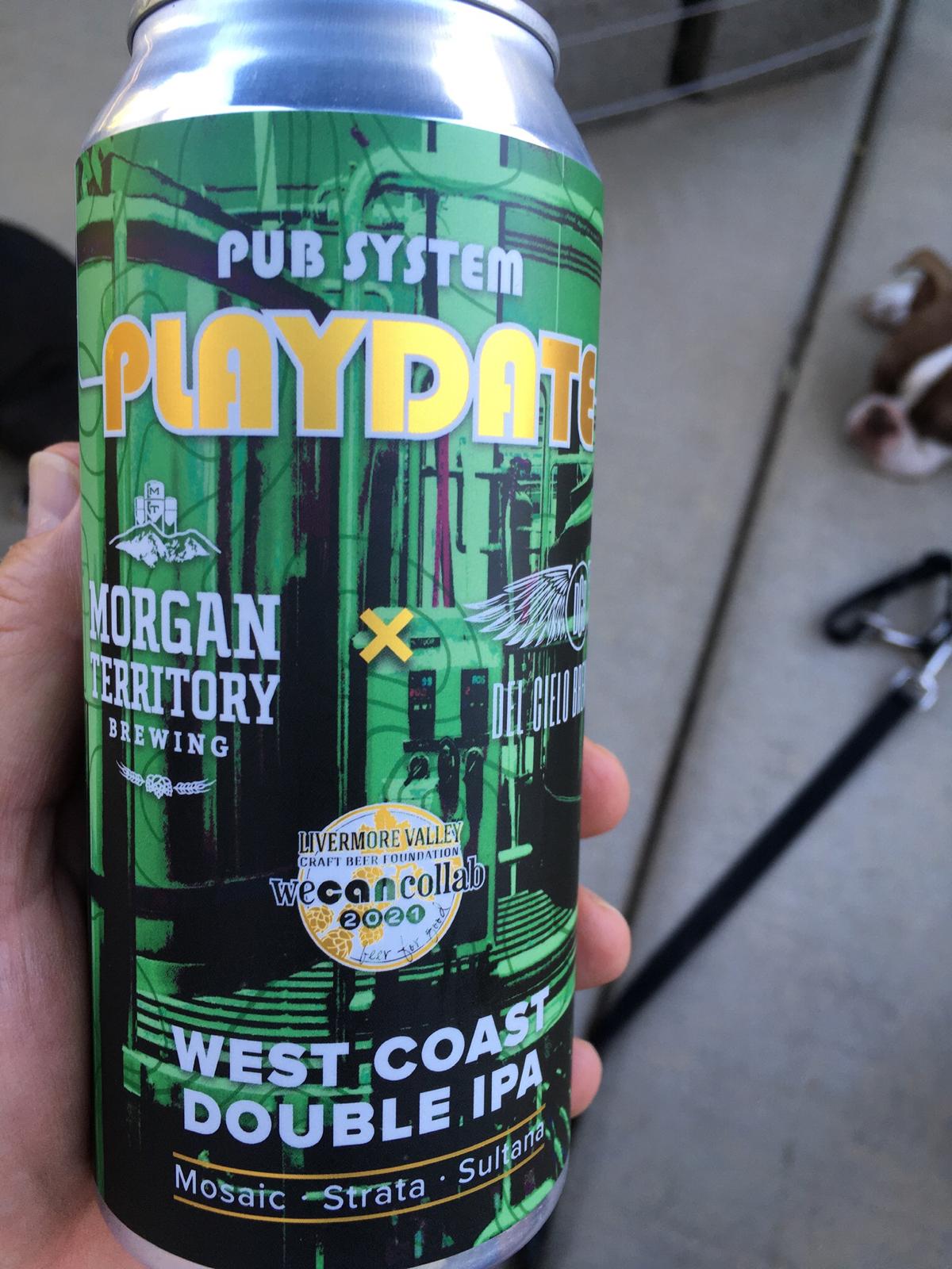 Pub System Playdate