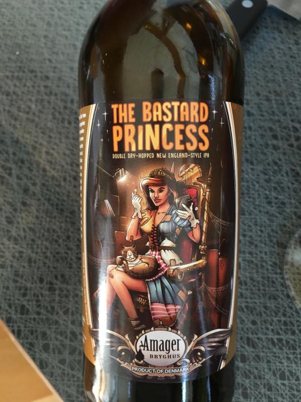 The Bastard Princess