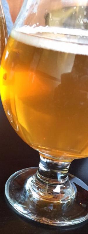 Normal Lager