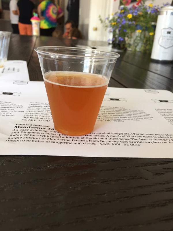 Skatemouth Pale Ale