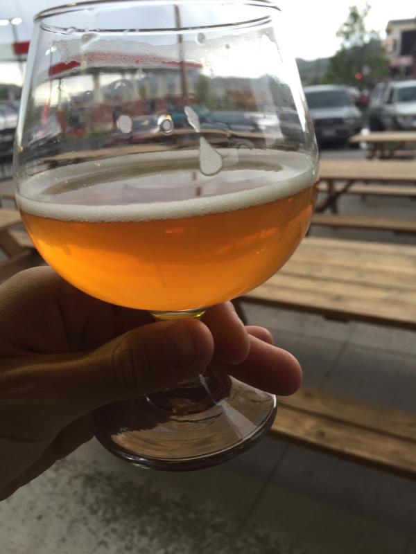 Not Minderbender IPA