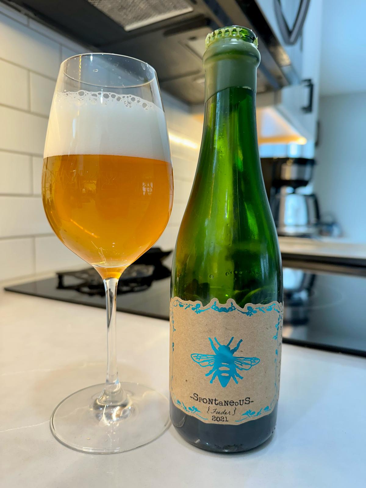 Spontaneous (2021 Foeder)