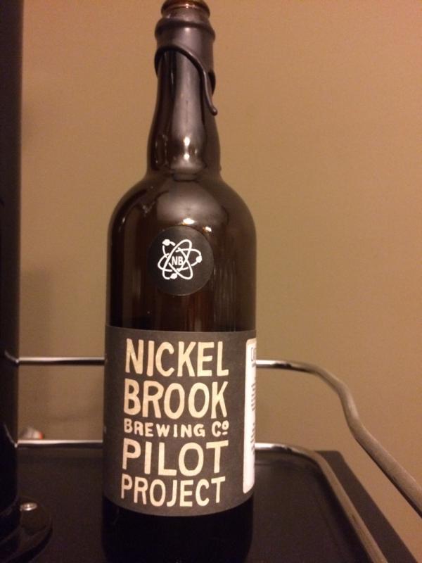 Nickel Brook Pilot Project