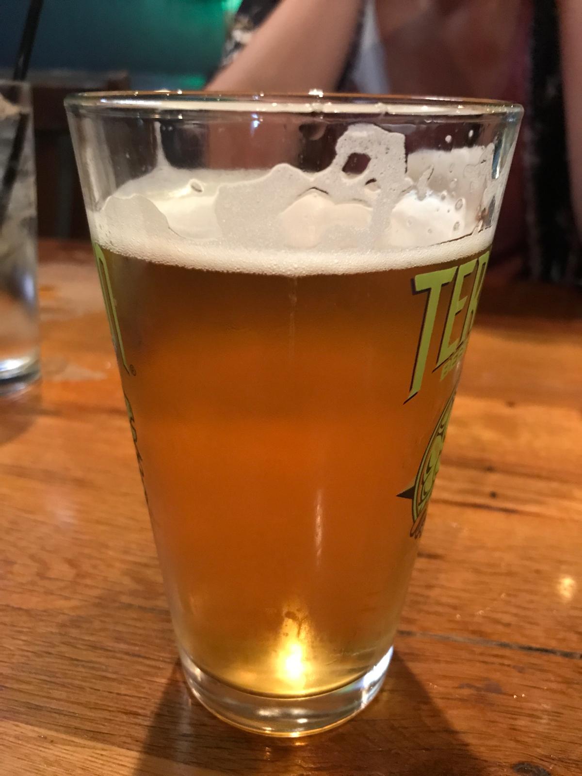 Appalachia Session IPA