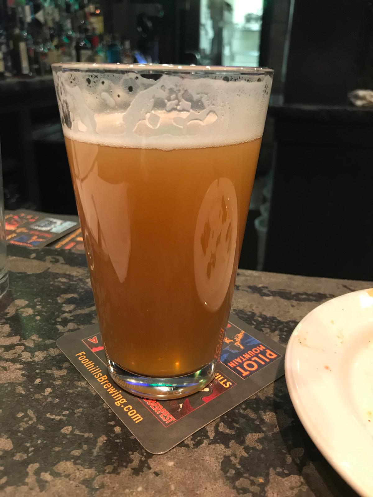 Pilot IPA