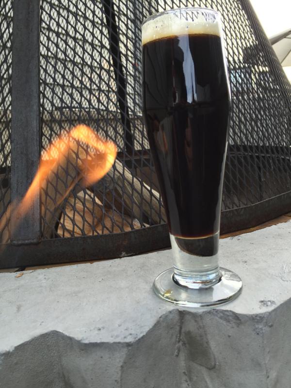 Bull Trout Stout