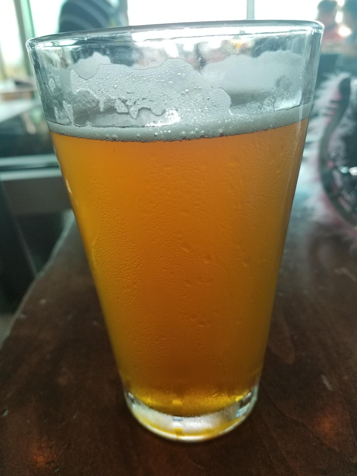 Panther IPA 