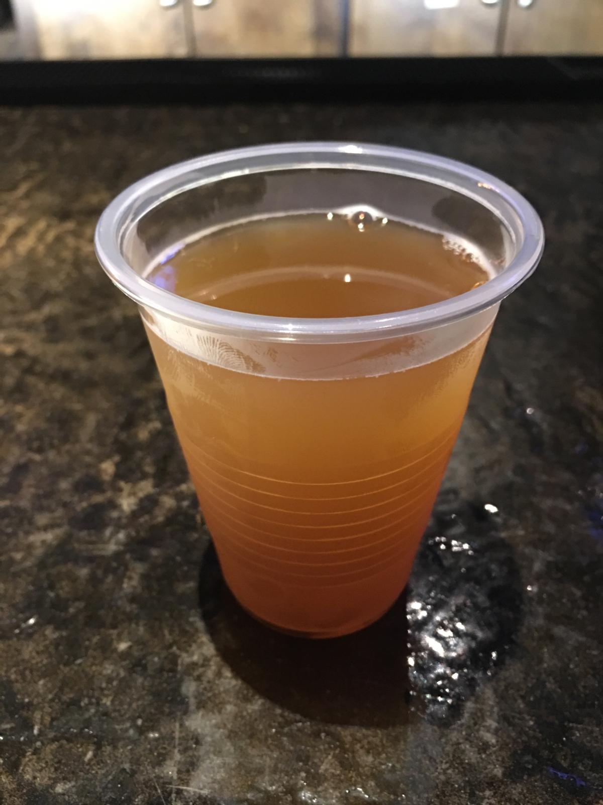 Flandria Flats IPA