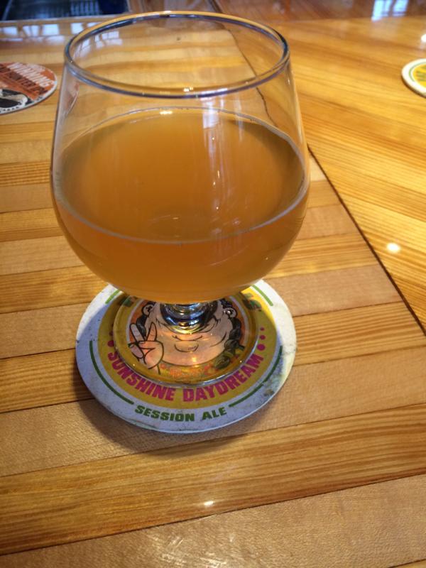 Head Or Tails Sour Saison