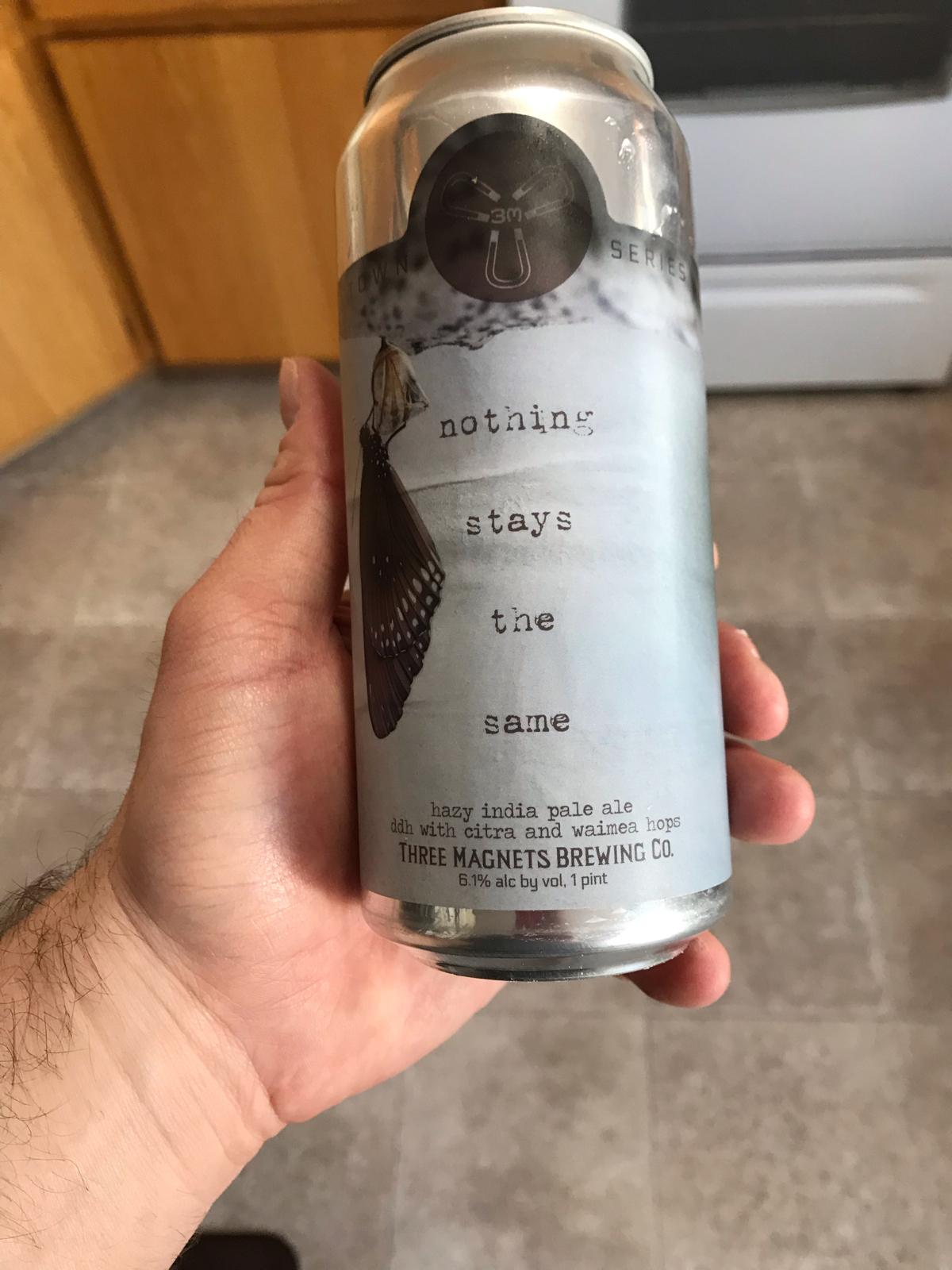 Nothing Stays The Same Hazy IPA