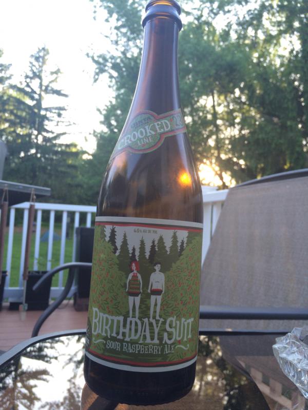 23rd Anniversary Birthday Suit Sour Raspberry Ale