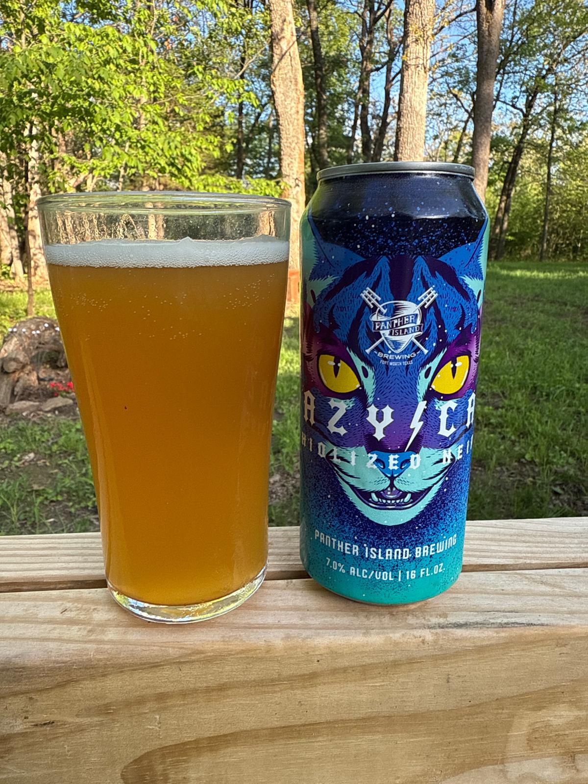 Hazy Cat
