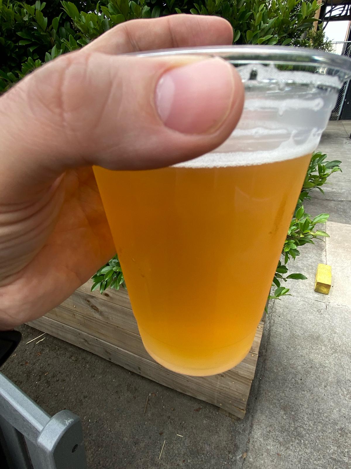 Tetrad Quadruple Dry Hopped IPA