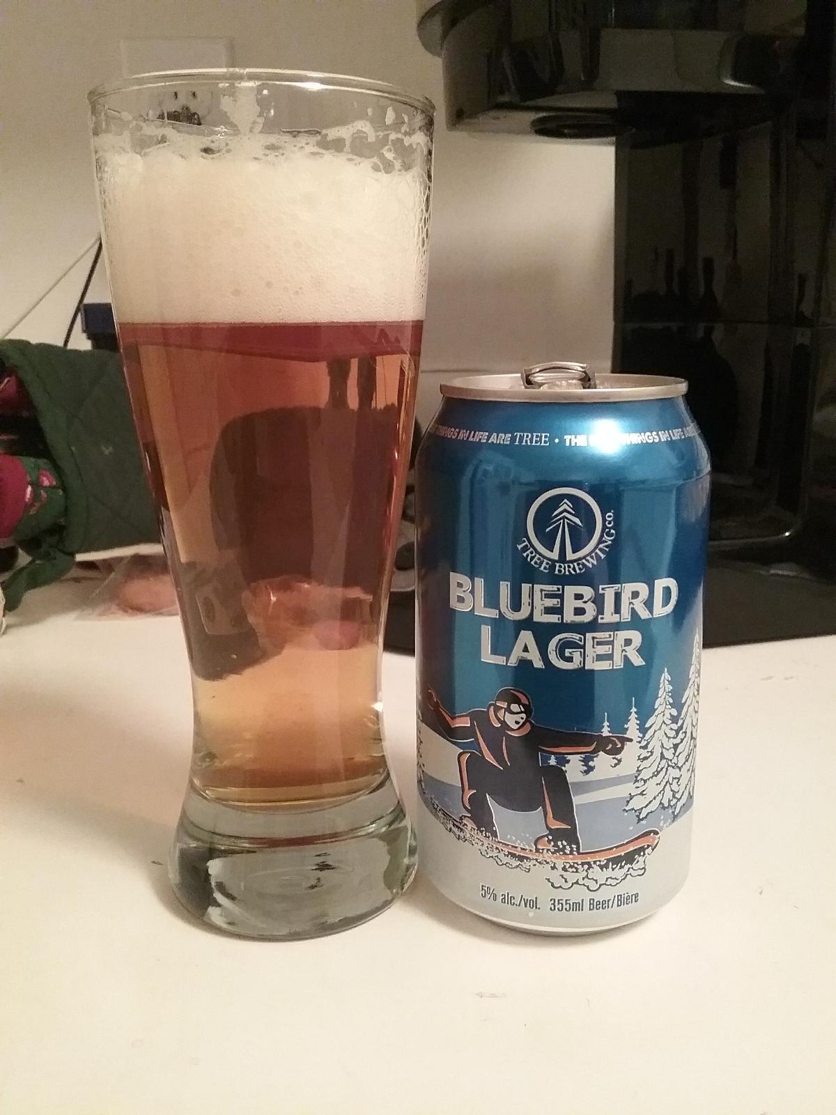 Bluebird Lager
