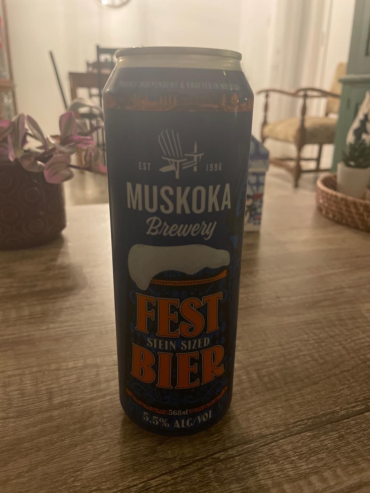 Stein Sized Festbier