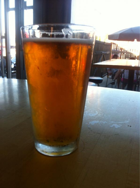 India Pale Lager