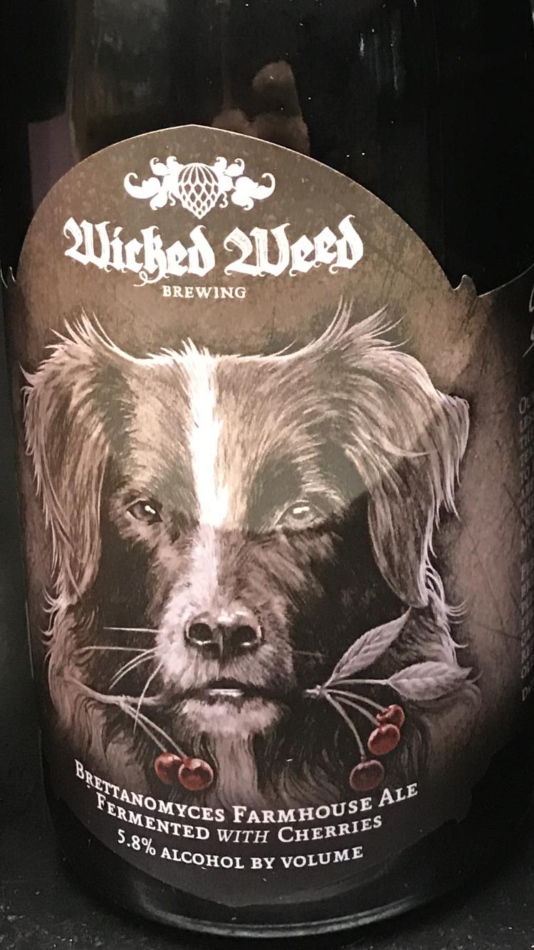 Brettanomyces Farmhouse Ale