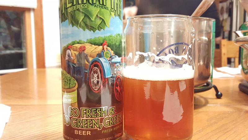 So Fresh & So Green, Green 2016 - Styrian Golding