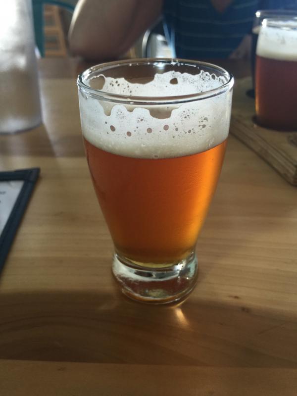 Doggie Paddle IPA