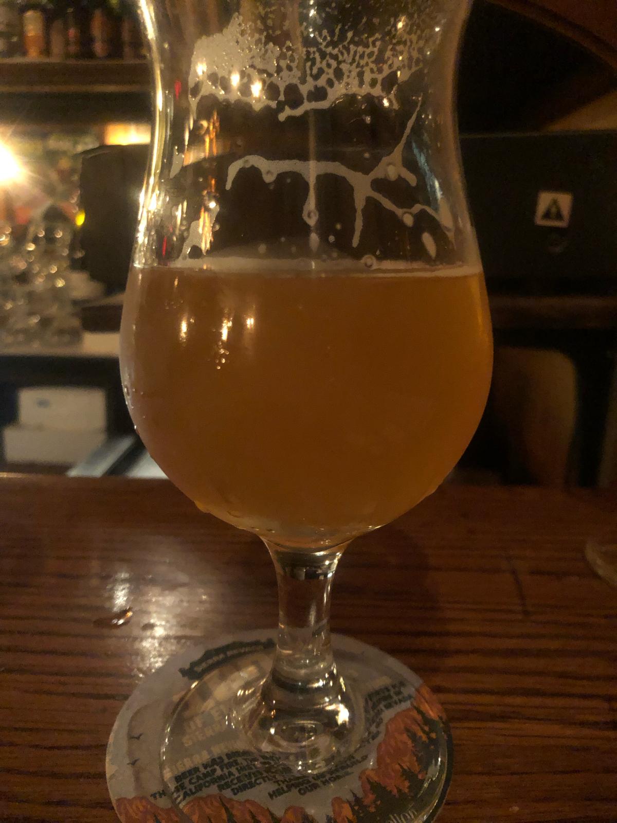 Trip In The Woods Blonde Ale with Apricot