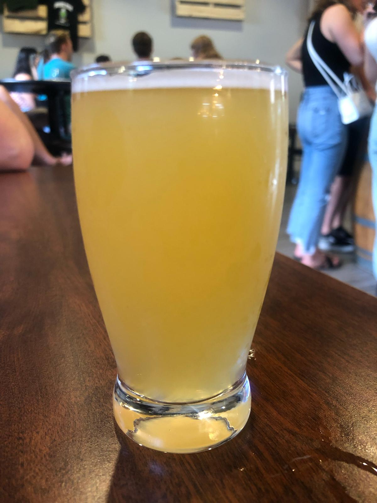 Barn Owl Saison