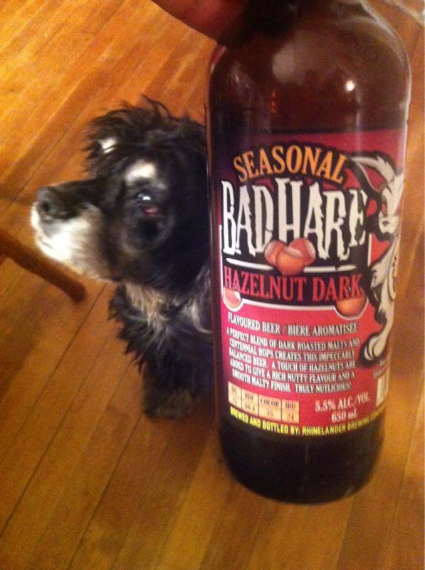 Bad Hare Hazelnut Dark