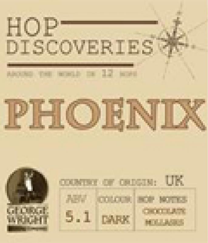 Hop Discoveries - Phoenix