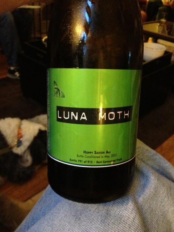 Luna Moth