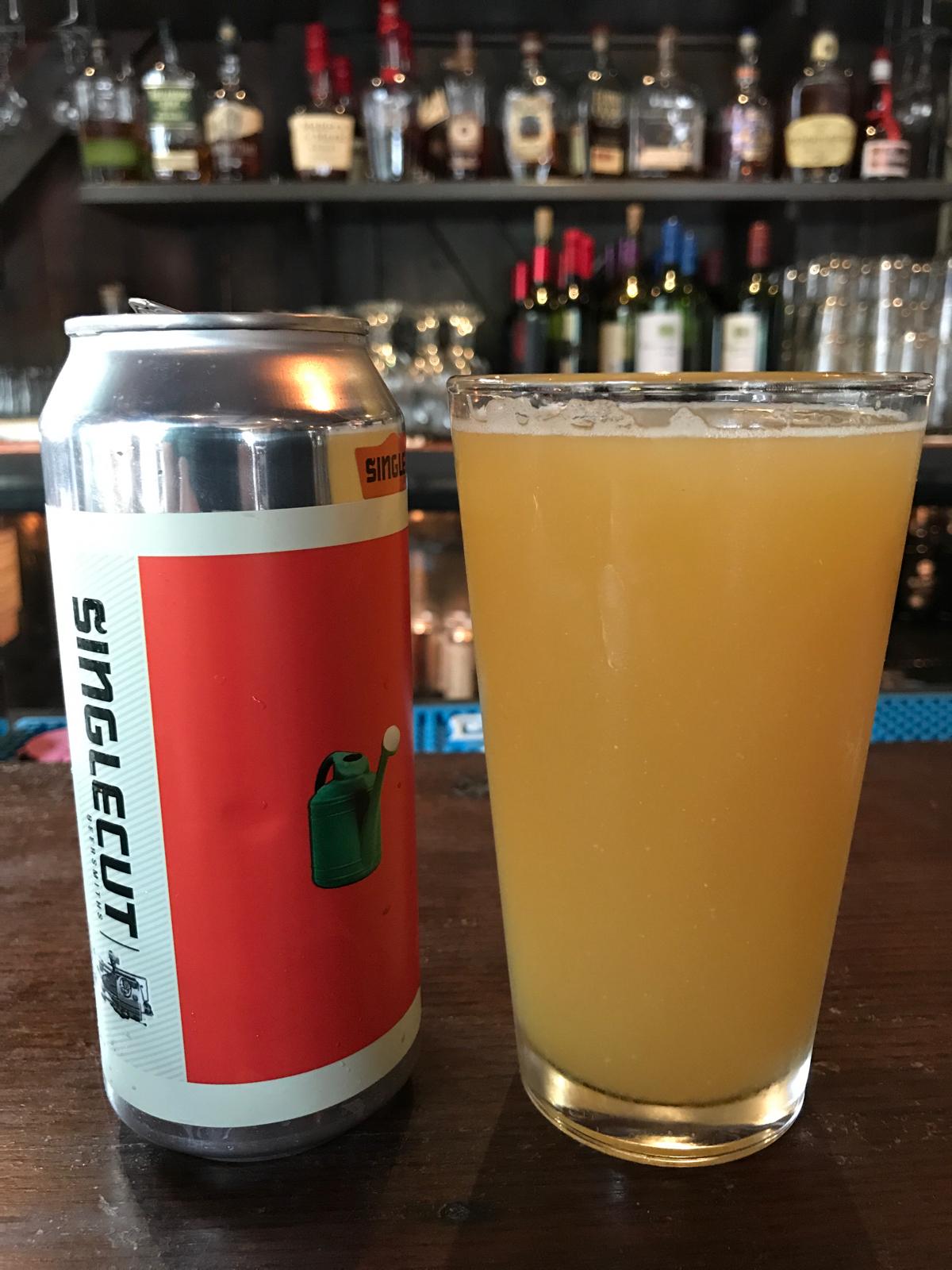 Green Plastic Watering Can