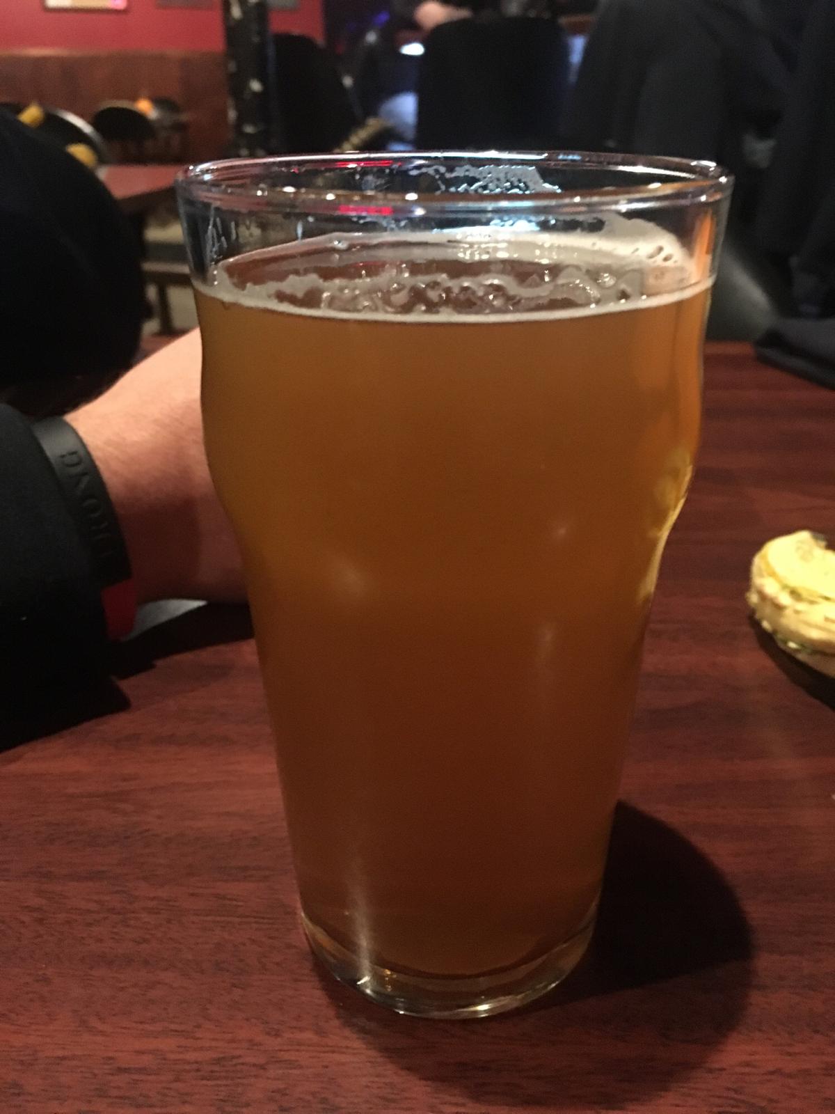 Downlow 2 Slow IPA