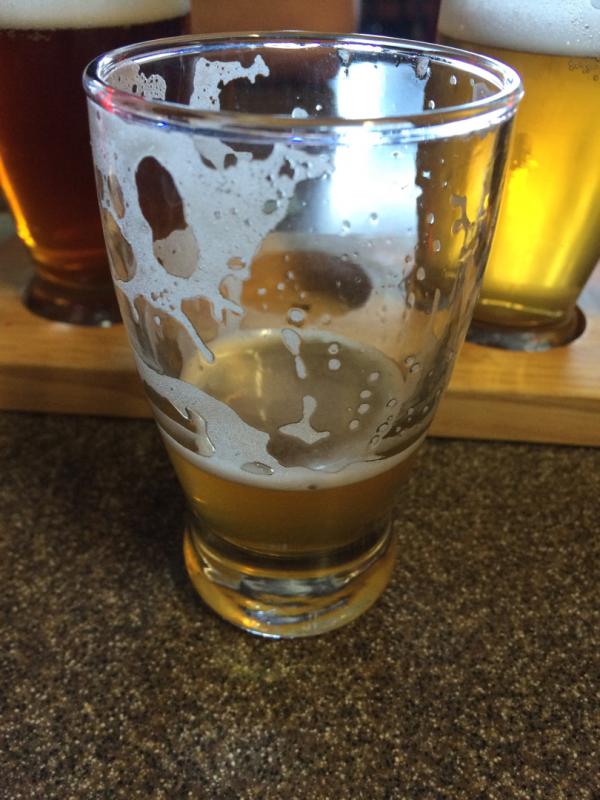 Reign Of Hops IPA