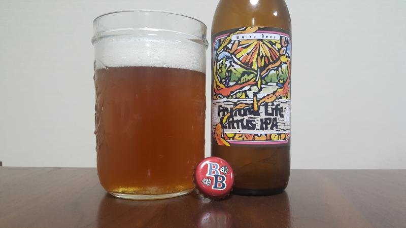 Fruitful Life Citrus IPA