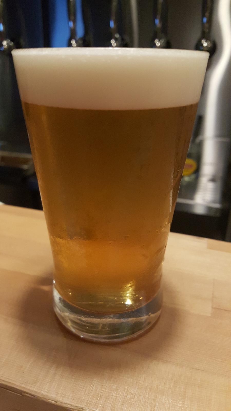 Belgian White