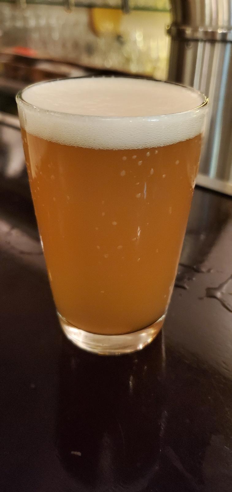 Crystal Ale V1