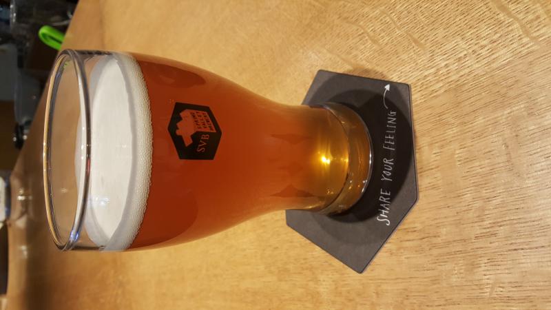 IPA #6