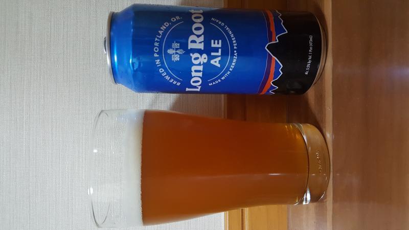 Patagonia Provisions Long Root Ale
