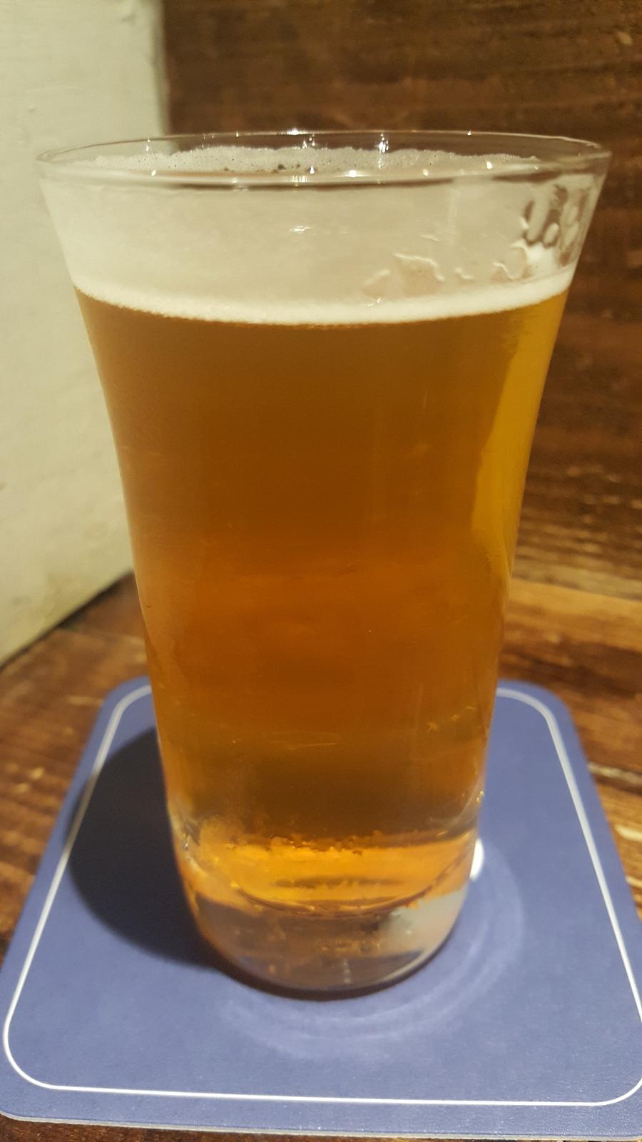 Tropical Wheat Ale