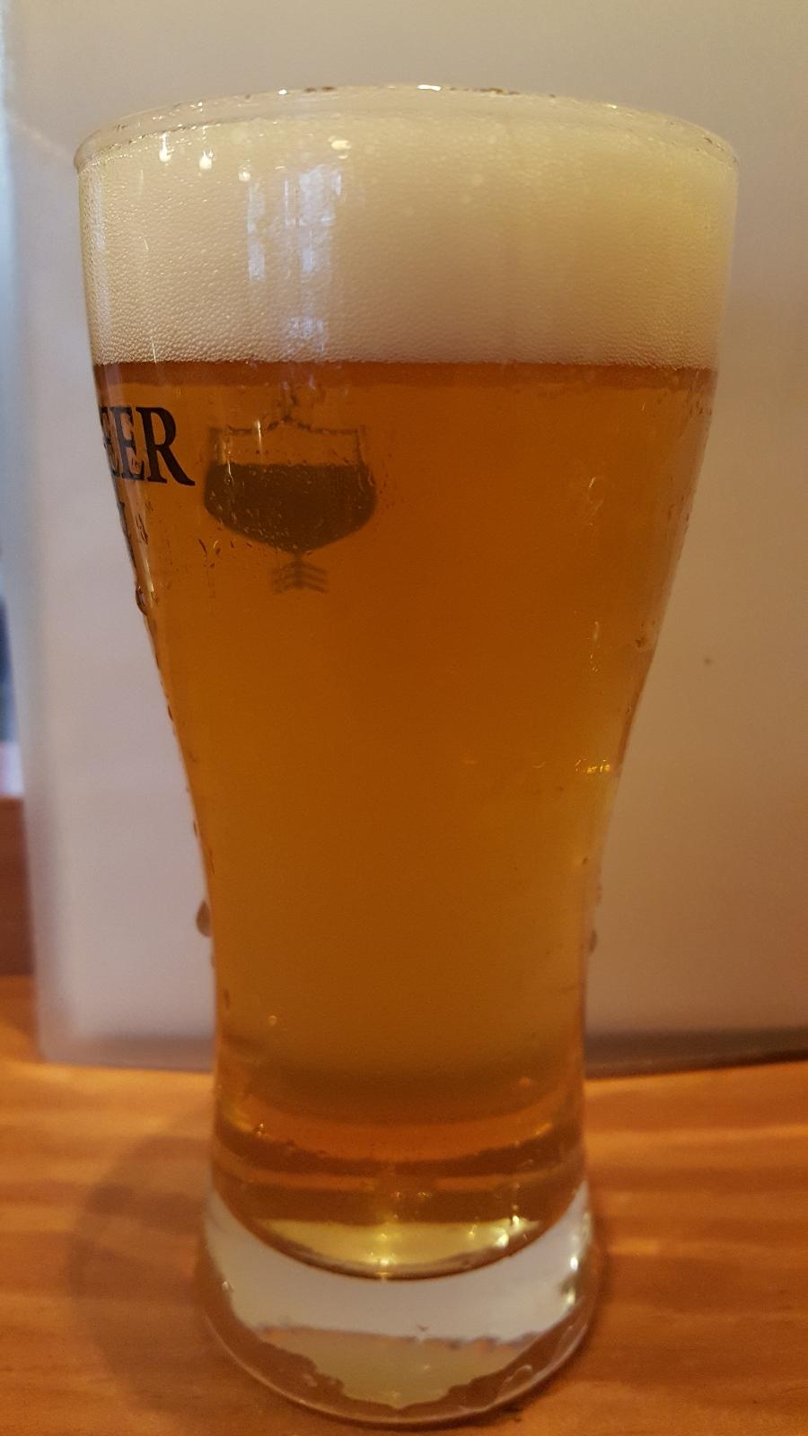 Regista IPA